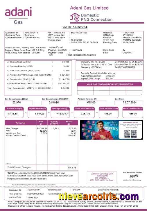India Adani business utility bill
